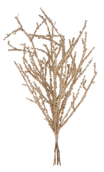 Gold Bamboo Berry Twig Bundle image 0