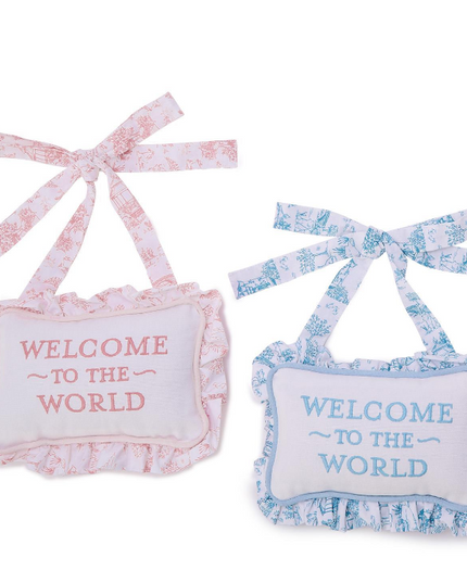 Welcome to the World Pillow Door Hanger