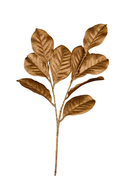 Bronze Magnolia Leaf Spray image 0