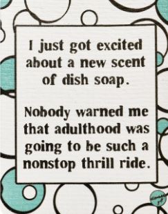 Funny Swedish Dishcloths - Dish Soap image 0