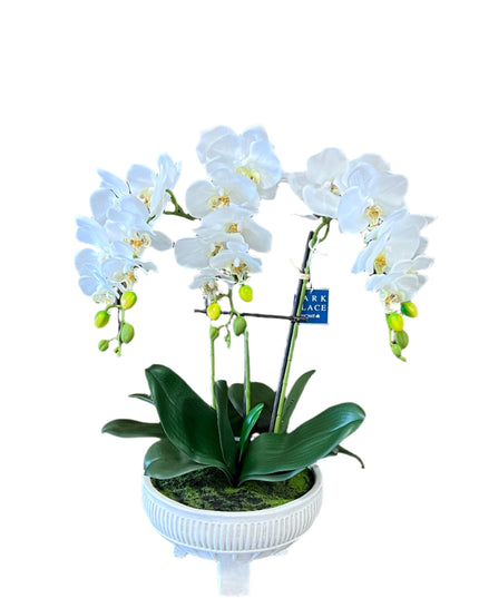 Phalaenopsis Plant 22" Faux in Ceramic Pot image 0