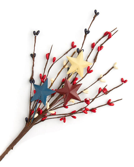 Americana Pip Berry & Stars Pick image 0