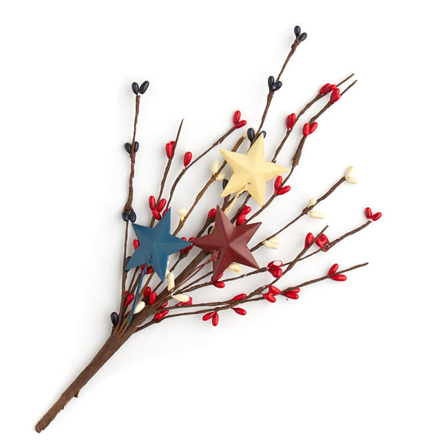 Americana Pip Berry & Stars Pick image 0