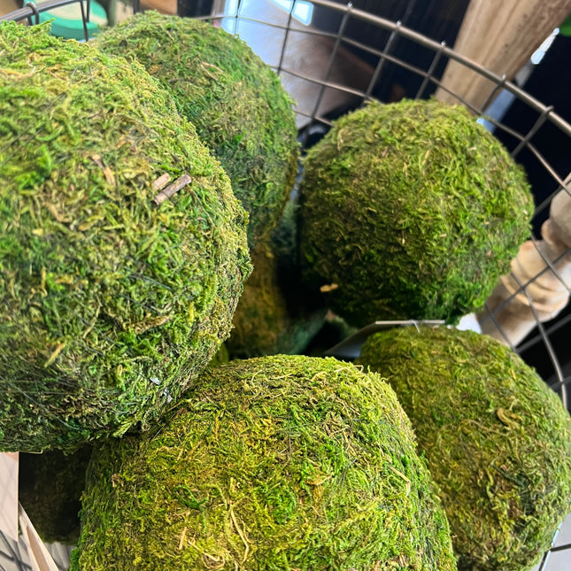 Moss Ball image 0