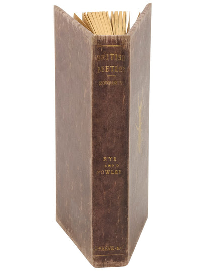 Vintage Beetle Journal image 1