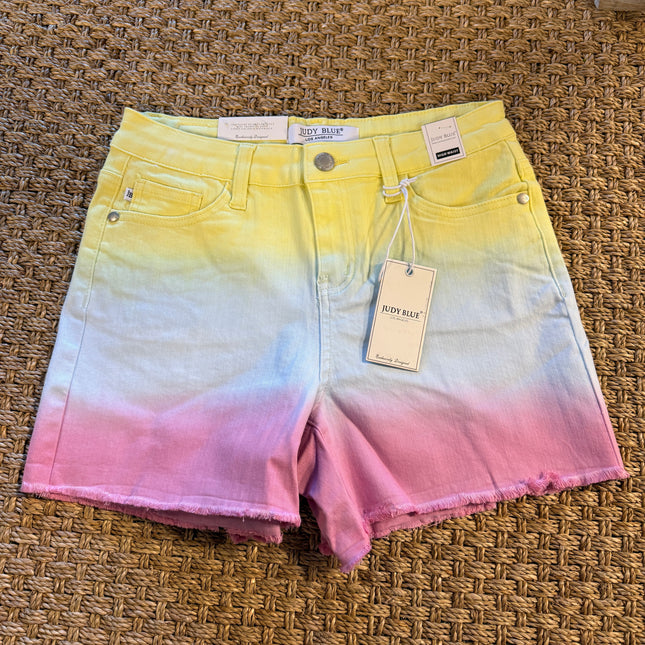 Burst of Color Judy Blue Shorts image 0