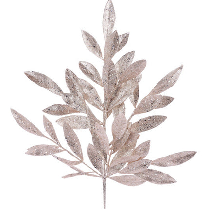 Collection image for: Christmas Picks