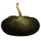 Home Decor - Fall