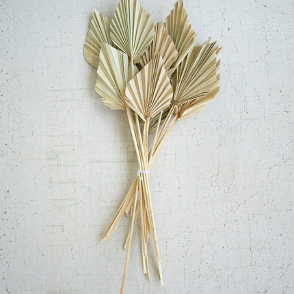 Collection image for: Home Decor - Dried Floral