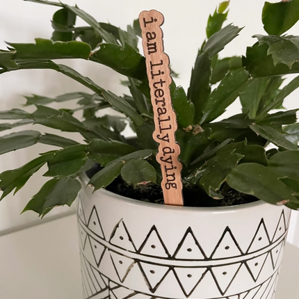 Collection image for: Garden - Plant Accessories