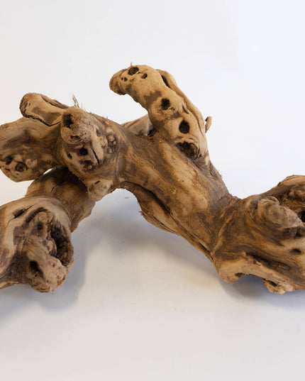 Tumbled Grapewood Log
