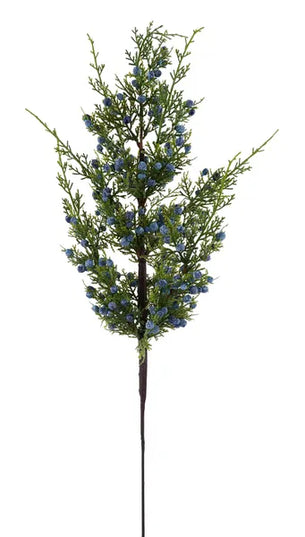 24"L Oregon Juniper/Berry Spray