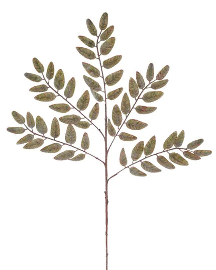 21.5" Brushed Honey Locust Spray