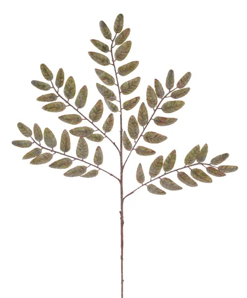 21.5" Brushed Honey Locust Spray