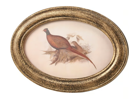 Framed Art Pheasant