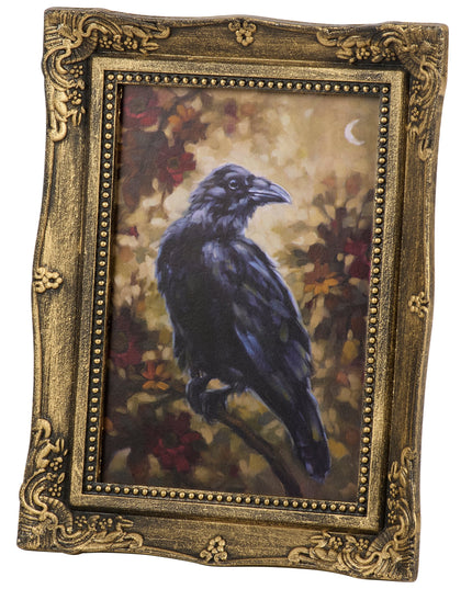 Night Raven Framed Art