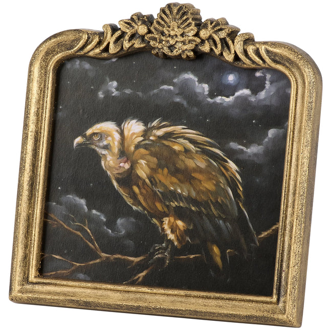 Night Vulture Framed Art