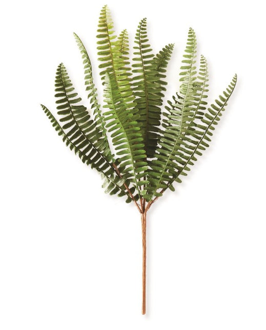 14.5" Fish Bone Fern Stem