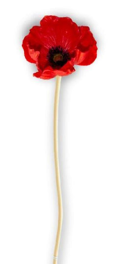 11 Inch Red Real Touch Mini Poppy Stem