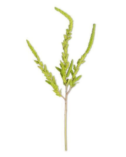 37 Inch Green Amaranthus Stem