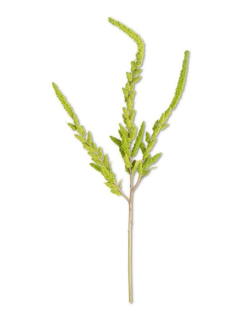 37 Inch Green Amaranthus Stem