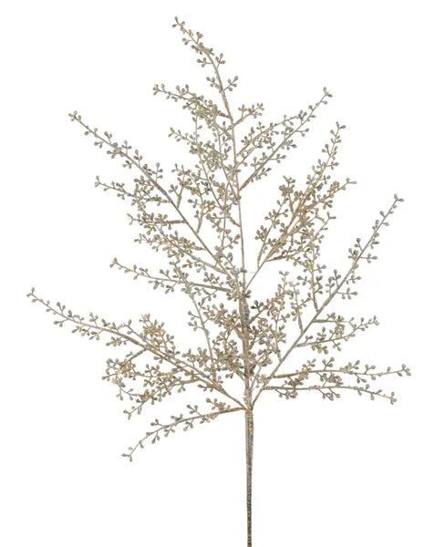 23"L Brushed Seed Spray
