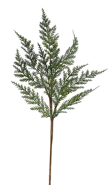 24"L Arborvitae Spray