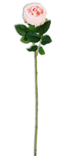 24" Real Touch David Austin Rose Pink