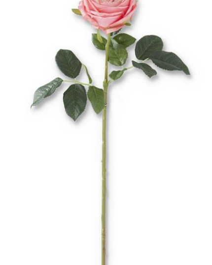 24" Real Touch David Austin Rose Dark Pink