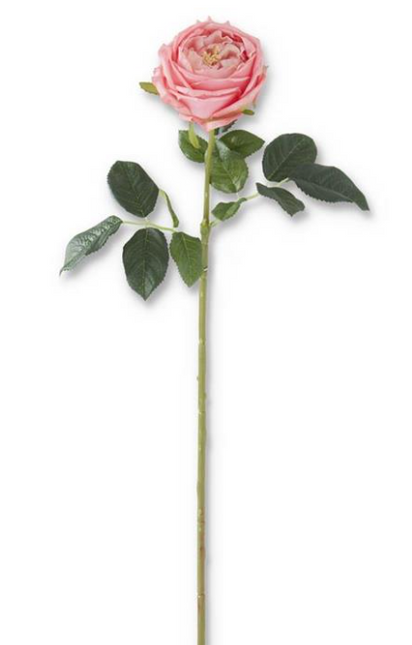 24" Real Touch David Austin Rose Dark Pink