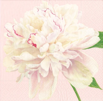 Duchess Peonies Blush Napkin Cocktail