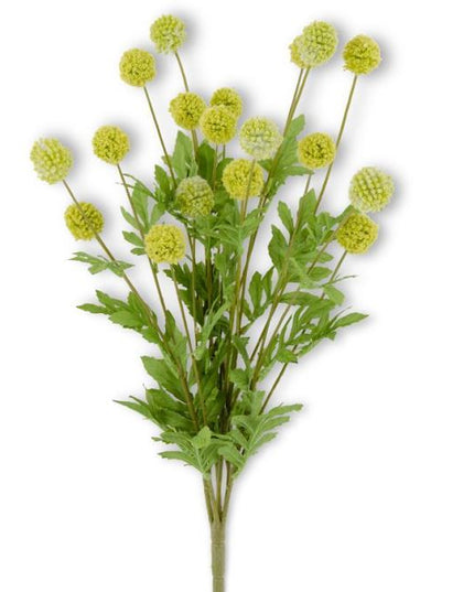 22 Inch Green Mini Allium Bush w/Foliage (18 Ball)