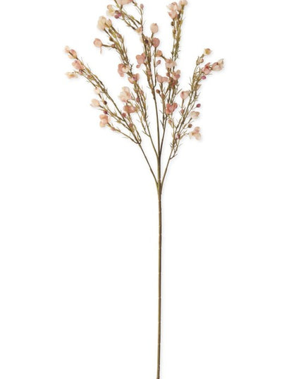 35 Inch Pink Chamelaucium Spray