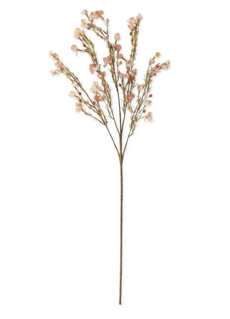 35 Inch Pink Chamelaucium Spray