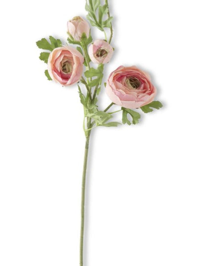 24.5" Pink Real Touch 5 Head Ranunculus Stem