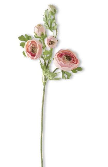 24.5" Pink Real Touch 5 Head Ranunculus Stem