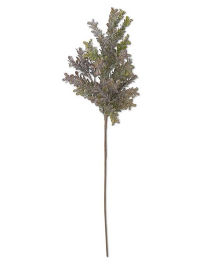 29.5 Inch Powdered Green & Purple Boxwood Stem