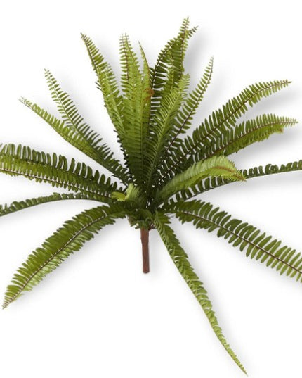 26 Inch Fern Bush