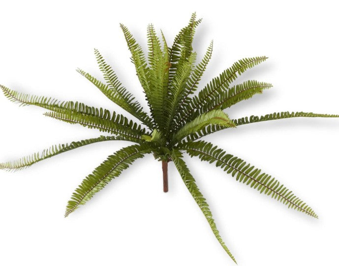 26 Inch Fern Bush