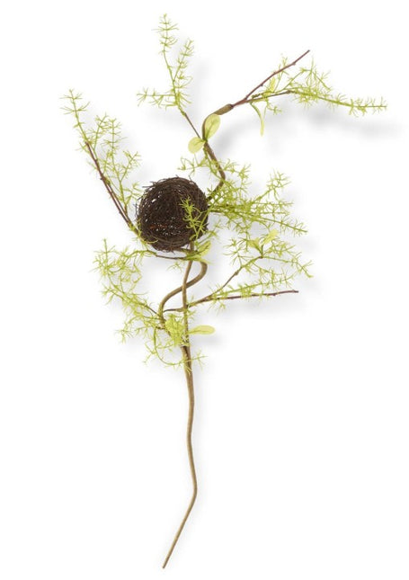 33 Inch Twig Bird Nest Stem