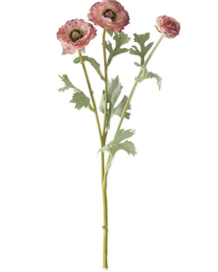 3 Head Pink Ranunculus Stem