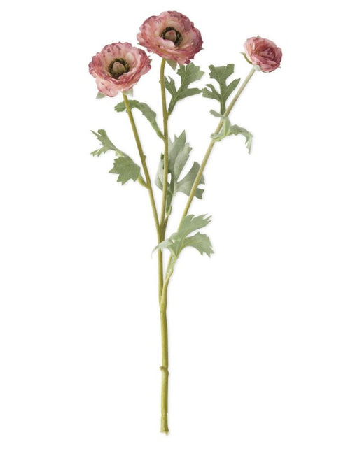 3 Head Pink Ranunculus Stem