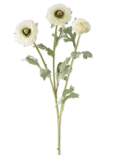 3 Head White Ranunculus Stem