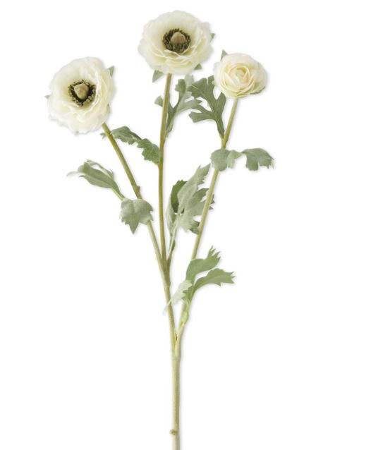 3 Head White Ranunculus Stem