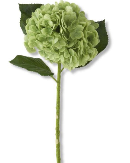 20 Inch Real Touch Hydrangea Stem