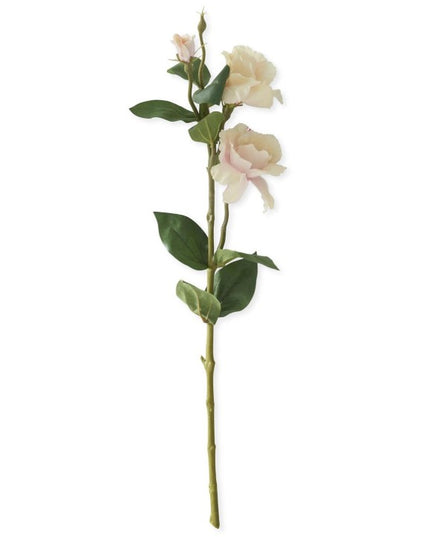 25 Inch Light Peach w/Pink Rose Stem