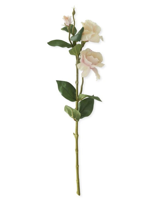 25 Inch Light Peach w/Pink Rose Stem
