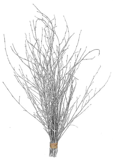 36"Glitter Cassia Bamboo Bundle