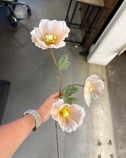 Blush Poppy Spray