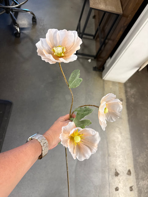 Blush Poppy Spray